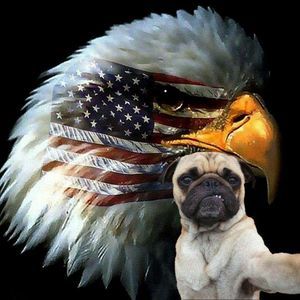 Meet your Posher, Nolan